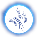 icono_tratamiento_erradicacion_h_pylori