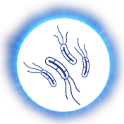 icono_tratamiento_erradicacion_h_pylori